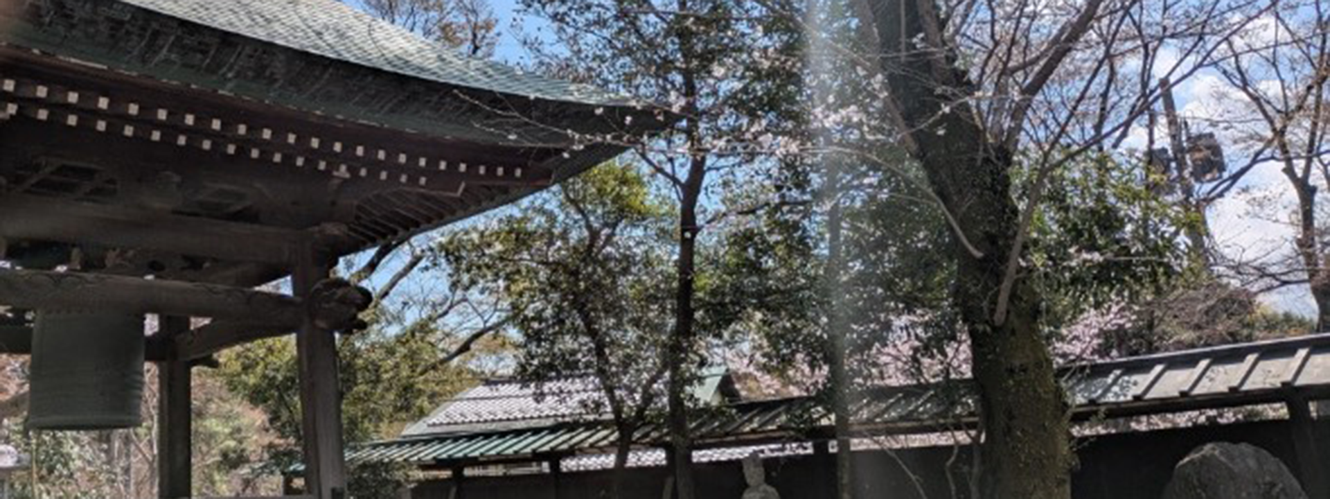 春爛漫桜三景(東京・深大寺)鐘突き堂と桜